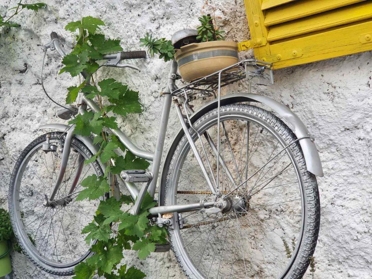 Family Apartment Near Old Town Μόσταρ Εξωτερικό φωτογραφία