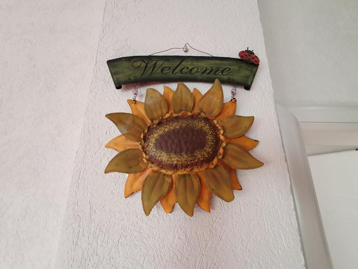 Family Apartment Near Old Town Μόσταρ Εξωτερικό φωτογραφία